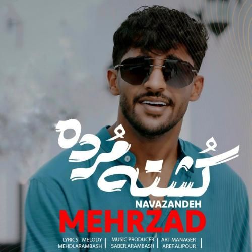 مهرزاد نوازنده کشته مرده