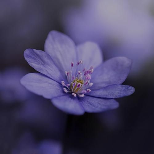  روزه خوبم واسم آرزو شده اصلا یادم نمیاد دیگه