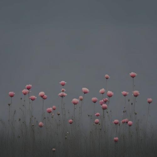  دیگه عکسامو پاک کن بزن منو از همه جا بلاک کن