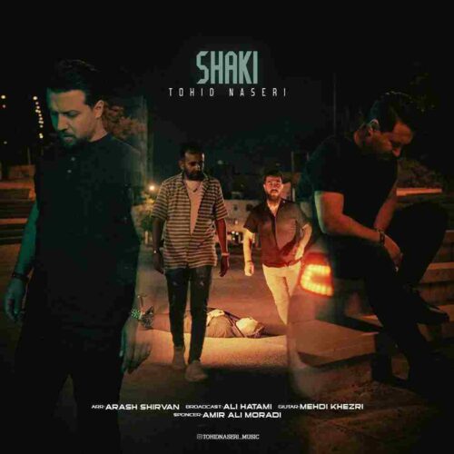 دانلود آهنگ جدید شاکی از توحید ناصری