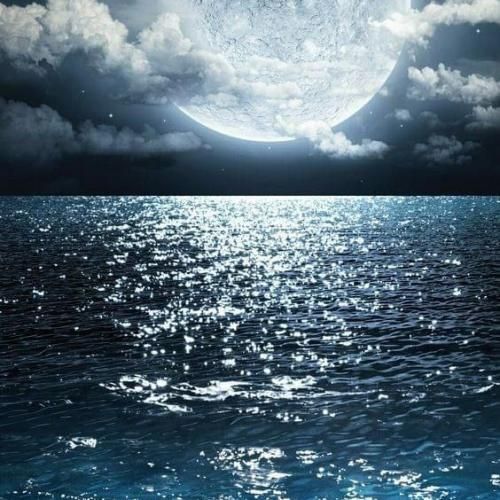  زدی از ریشه ولی با این حال دلم برات تنگ میشه