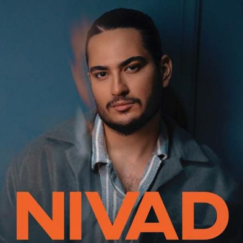 نیواد بوی موهات میپیچه میبره عقلو از این آدم