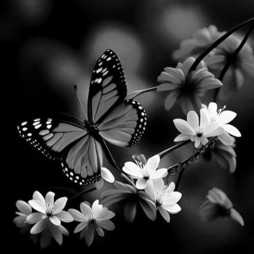 یه شب که تنها شدی بیوفت یادم یه سال گذشت