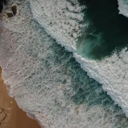 هرچی اومد رفت دم صبح ونیش مرد