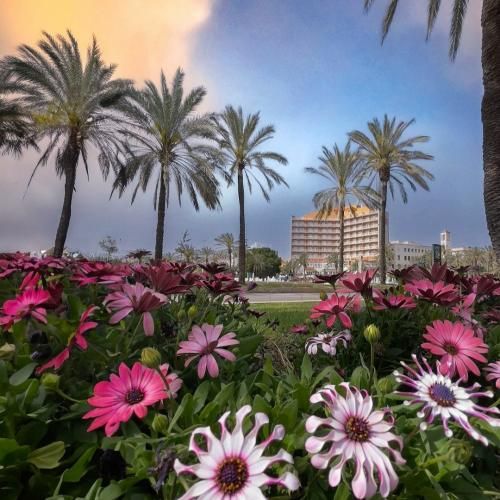 یه عمره از محبت بی نصیبم ای خدا با صدای زن