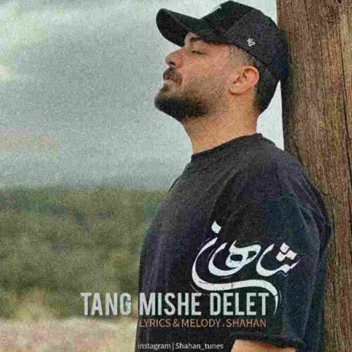 دانلود آهنگ جدید تنگ میشه دلت از شاهان