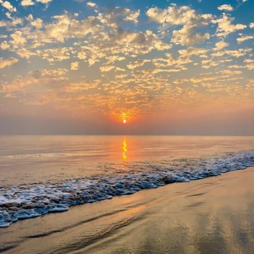 پاشو بکن خودتو جمع زانوهات کرده موکت و زخم