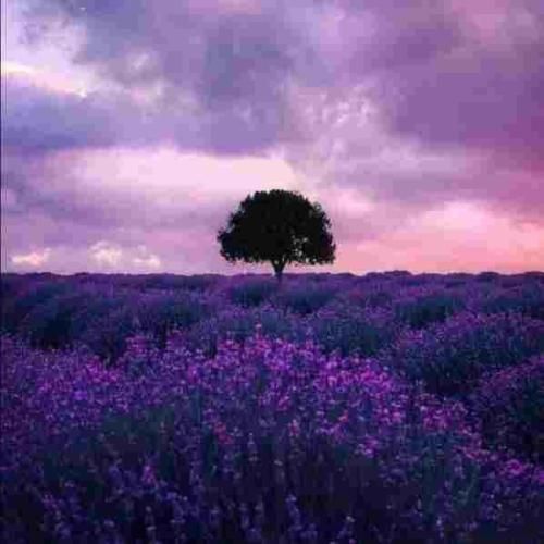 من بعد تو مردم تو بگو چرا فقط من بودم روسی ورژن فارسی