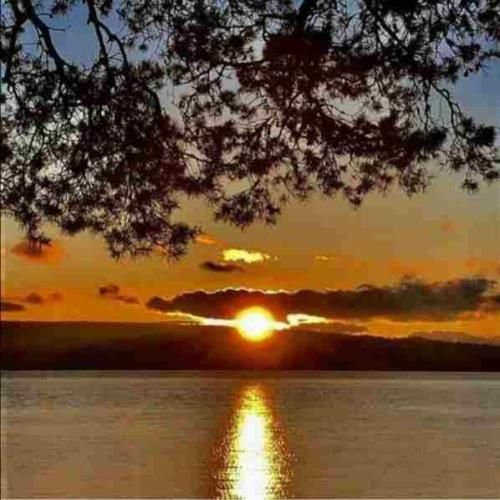 وصال علوی موهاتو باد میبنده و این قصه با تو سر میشه