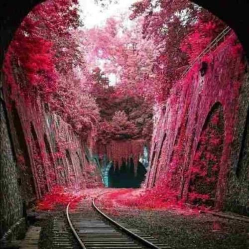 اگه مردمم صدام بزن قول میدم واست پا بشم