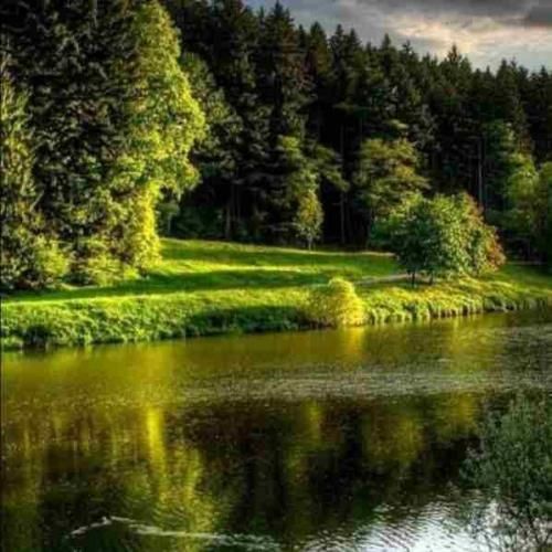 بالا بالا بالاتر بالاتر از ستاره