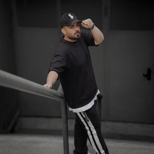 شاهان همه شهر