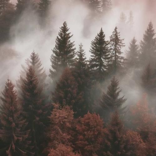 دل از من دلبری از تو سر از من سروری با صدای دختر