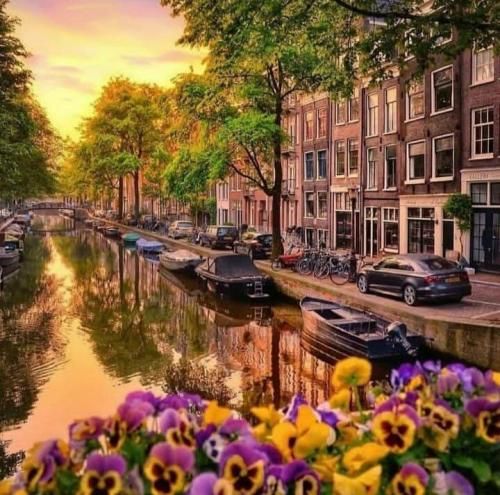 با تو شاد با تو خوب با چشات از زمان قرص