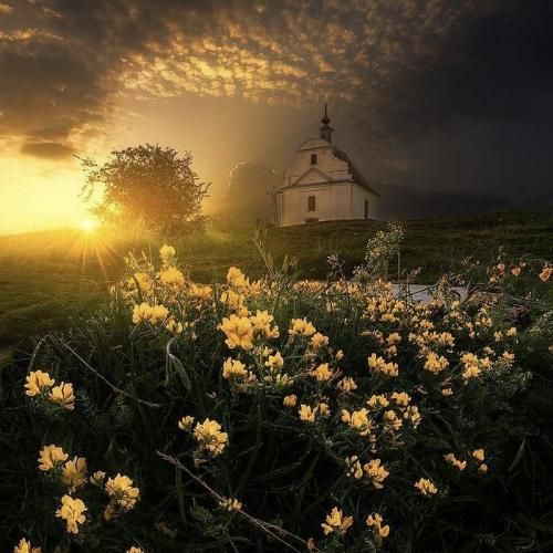  حالا میزونی ردیفی خوشی هست با صدای دختر