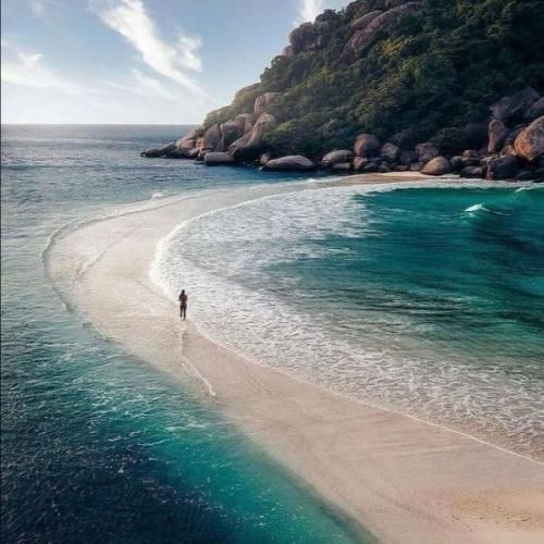  نازه نازه ولک نمک میریزه ولک