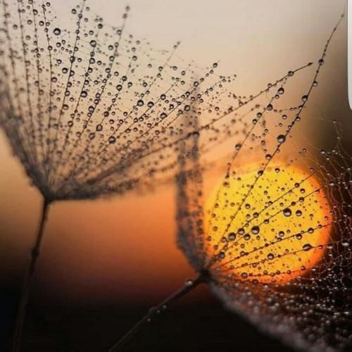 این بد بچام خلن دیدمش من هر سه بار