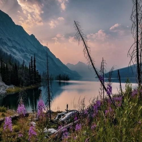 منو تنهایی میلیون دلاری منو پسرم الکس