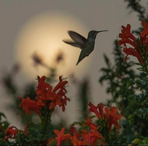 یادت رفت همه قولاتو هوش مصنوعی