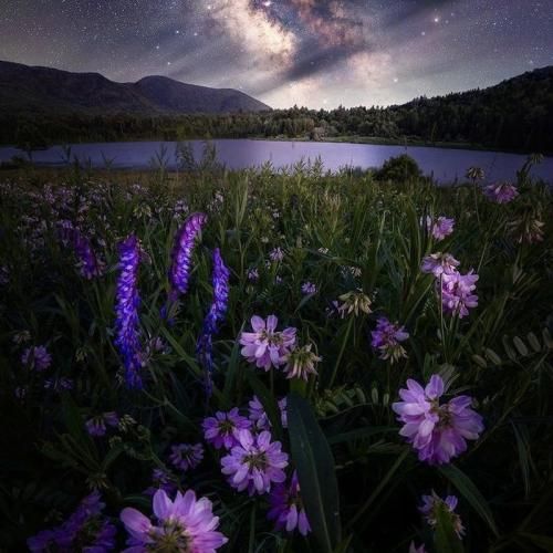 عروسک جون فدات شم تو هم قلبت شکسته