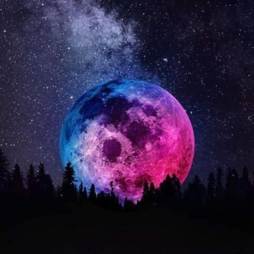 حاجی تو هم رویاتو نباز حقتو بگیر داره بد میده تقاص