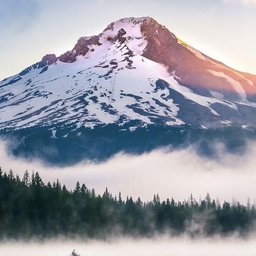 دافت فلته مثه تی وی میخواد برنامه کنه پی وی