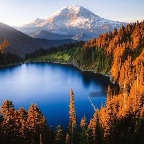 فک میکردم عاشق بود ولی پیچوند با صدای دختر