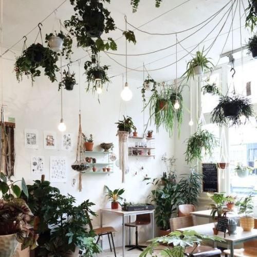 این شهر اونی نیست که بزرگ شدیم توش