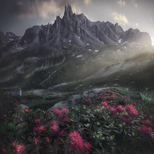 تا بودی با من آروم بودم میدیدم ماهو تو نگاهت