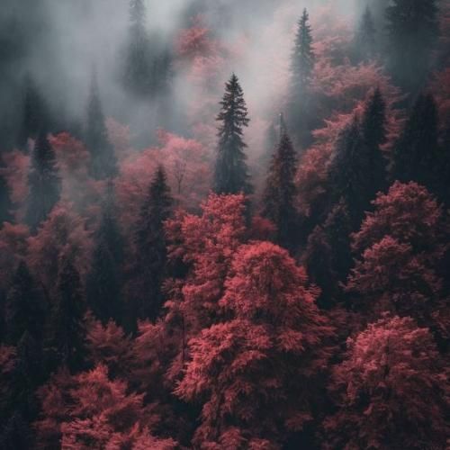 ببینیم گل میندازی لپو میکنی کپو میام با بعدی