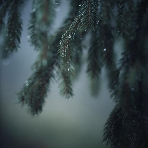 جوانیم به مو رسیده برس به داد این دل با صدای زن