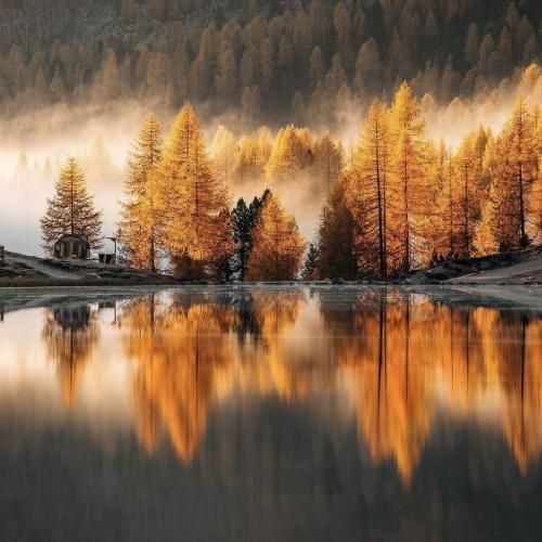 عشقو شادی زندگی آزادی میخوام با صدای دختر