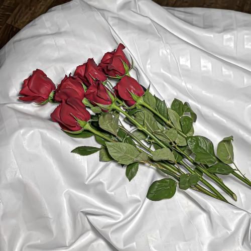 من که لبام عنابیه چشام به رنگ آبیه با صدای دختر