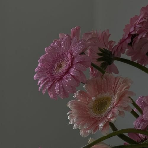 شبا ترسیدی زل بزن از پنجرت به ماه