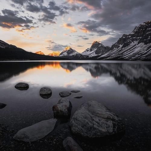 اون که رسونده به همه خودش نمیرسه منم