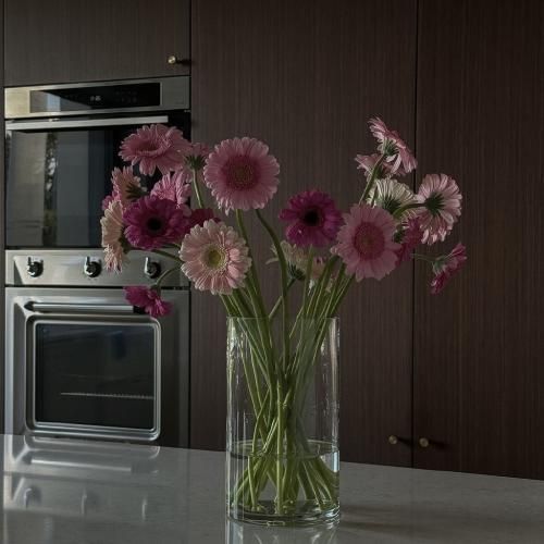 هفت روز هفته سر گذر محله جنجال و غوغاست