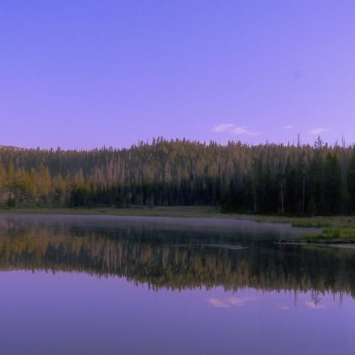 عباس برار جان داداش برق شمایم رفت