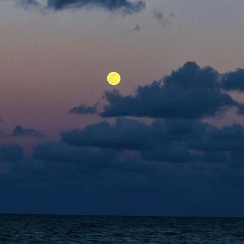 دل مو سی دیدنت شو روز نداره با صدای پسر اینستایی