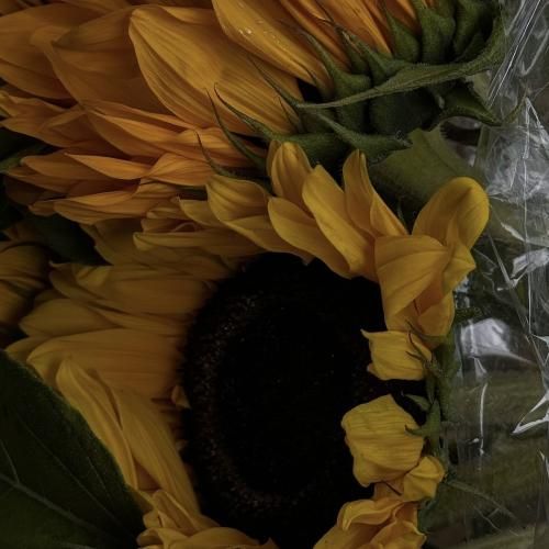 ستونم ستونم یچی بود تو توتونم