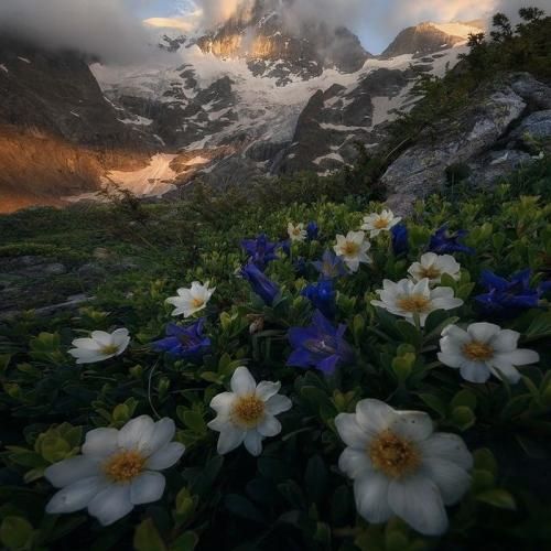 فکر کن تو خونتون یه مریض داری بیا قلبمو بکن