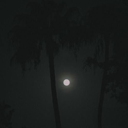 بیب ددی چه گیره همش به فکر دنسه