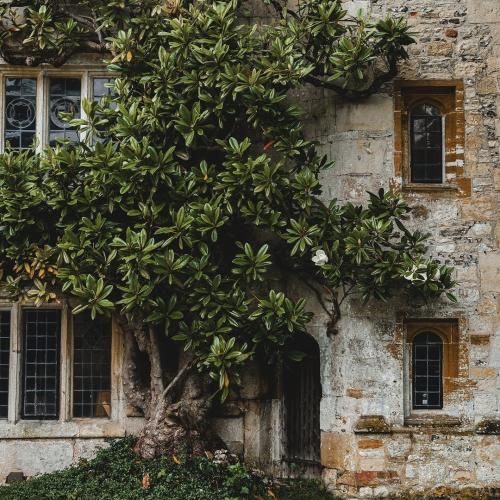  با تو میشه هر روز زندگی رو عاشقی کرد با صدای زن