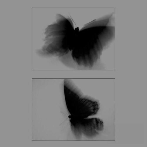 بین ما فوق العاده بود همه چی رک و ساده بود