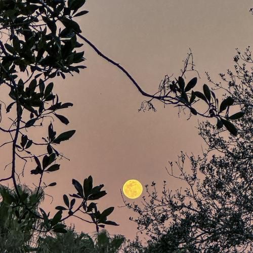 سلام منو برسون مث یه دعا بهش