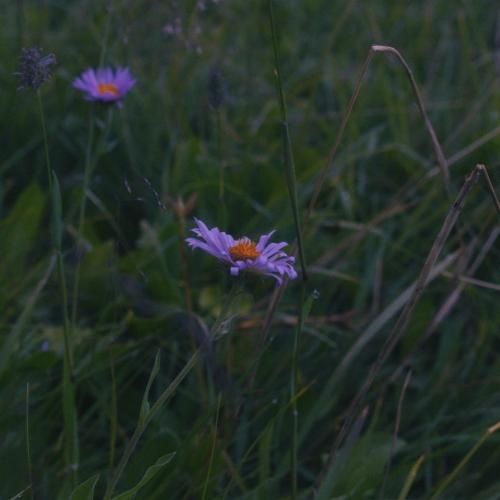 خبر رسیده بعد من با چند نفر بودی حق داری