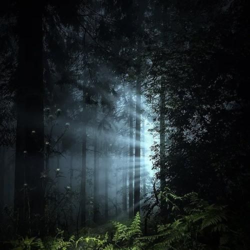 سفید عین کف بهشت اما هنوز بغض تو گلو منه