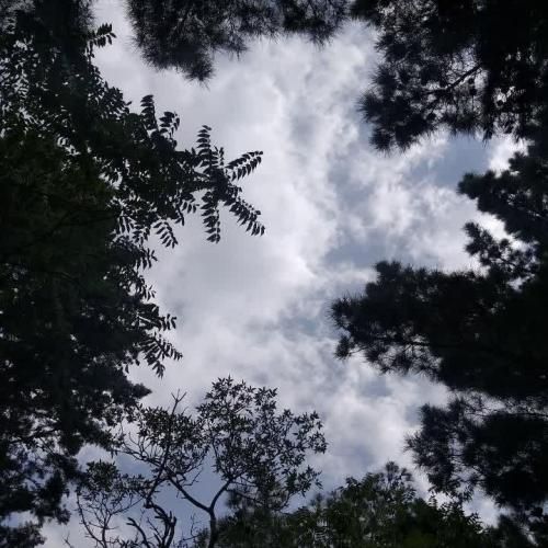 چی ازش میخوای اون که رد داده مخش ولش کن