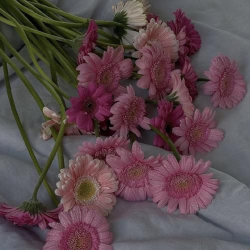 تف تف رو شعرام قفل هنوز مشروب گرونه