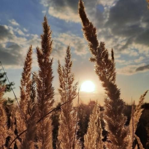 ترکی این دختر سنمو ازم پرسید بیست و یک گفتم