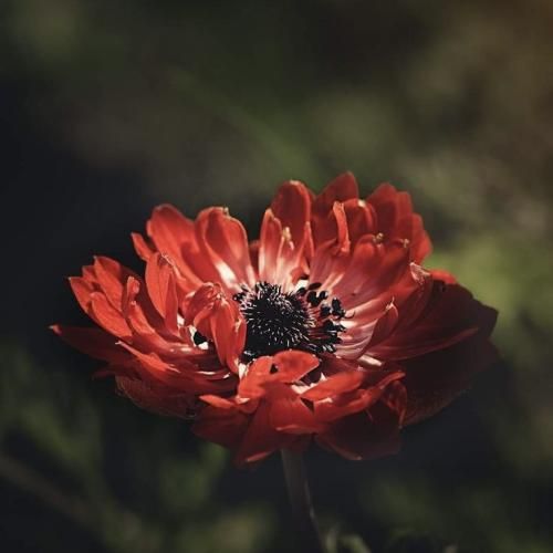 چشمای خیس پلکای خسته احساس میکنم با تو